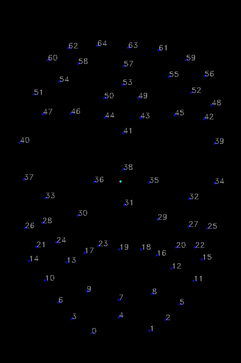 Detected Markers