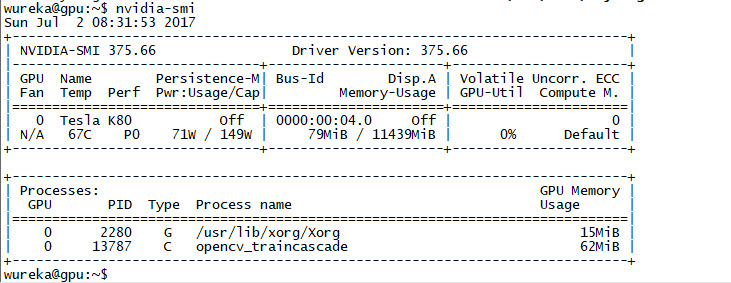 nvidia-smi on Google cloud vm