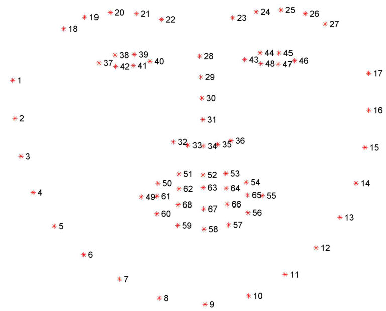 Facial landmarks