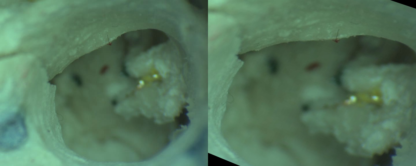 Left camera frame before and after rectification